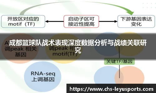 成都篮球队战术表现深度数据分析与战绩关联研究